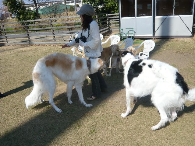 f0176534_14531567.jpg