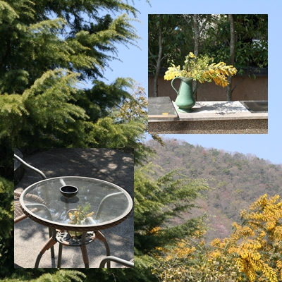 d0069436_1641271.jpg
