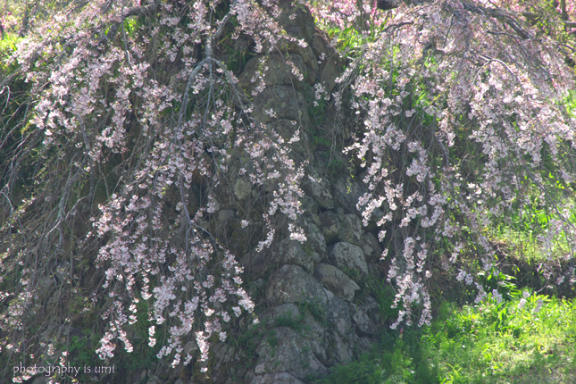e0083238_21593112.jpg