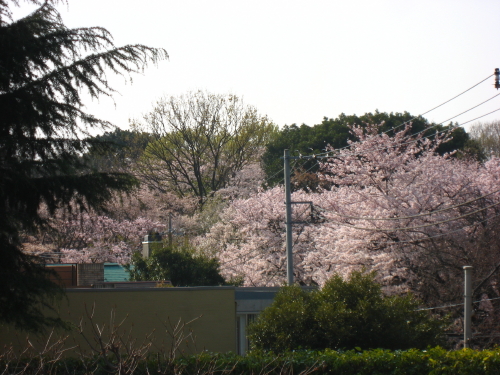 e0149840_1895399.jpg