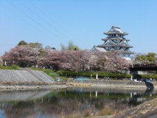 f0000644_123342.jpg