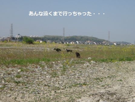 b0148945_2014167.jpg