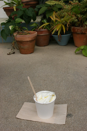 f0096245_204832.jpg