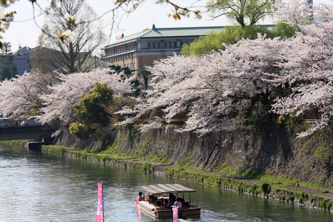 a0024250_23255990.jpg