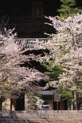 a0024250_23333036.jpg