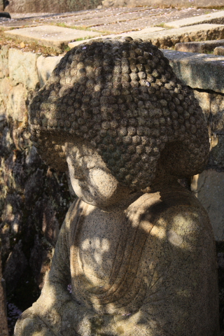a0024250_234751100.jpg