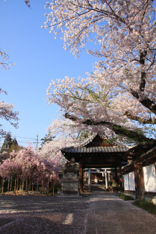 a0024250_23521159.jpg