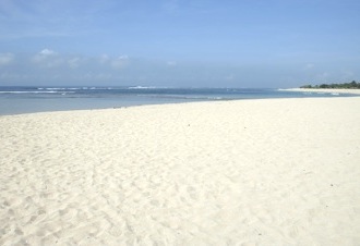 b0025850_1850356.jpg