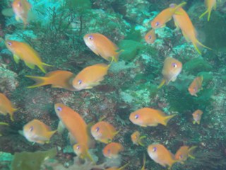 e0065350_21153056.jpg