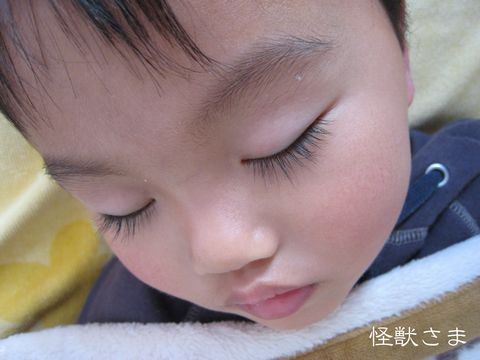 a0090451_11505270.jpg