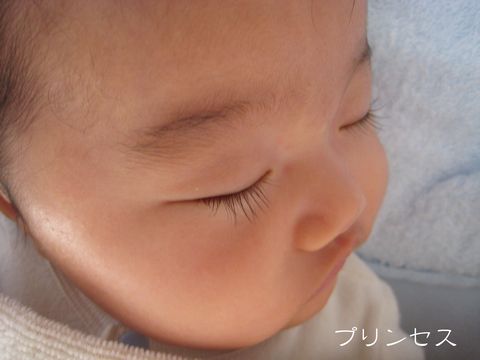 a0090451_1151762.jpg