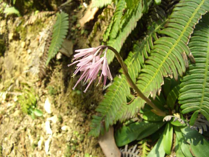 f0207955_2012582.jpg