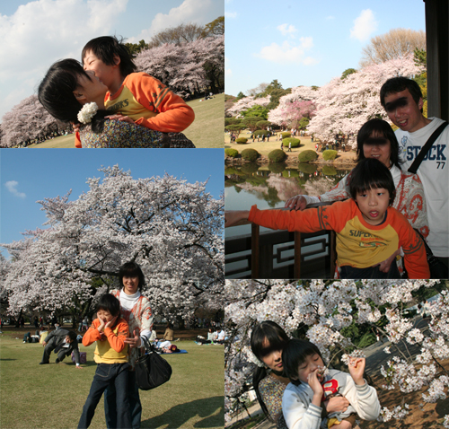 a0003259_2116620.jpg