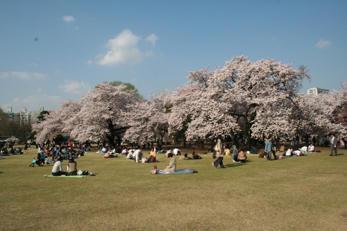 a0003259_2118436.jpg