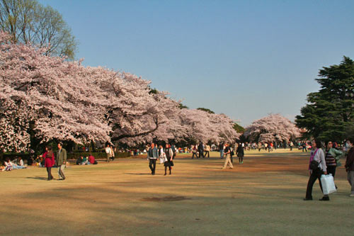 a0003259_2142339.jpg