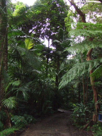 e0171460_2023299.jpg