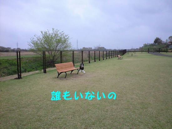 a0100564_1954338.jpg