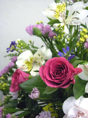 e0086864_2242334.jpg