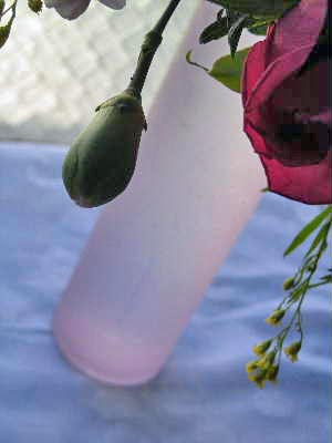 e0086864_22443387.jpg