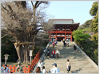 b0008465_13263923.jpg