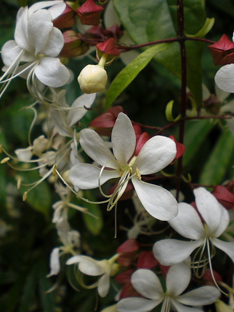 b0149867_181314.jpg