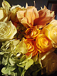 a0050669_02861.jpg