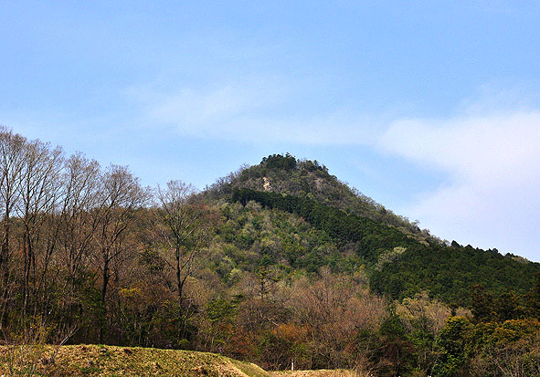 f0198771_0481944.jpg