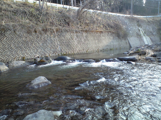 a0093677_19543436.jpg