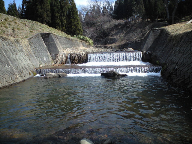 a0093677_20494856.jpg