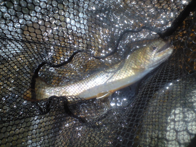 a0093677_21115695.jpg