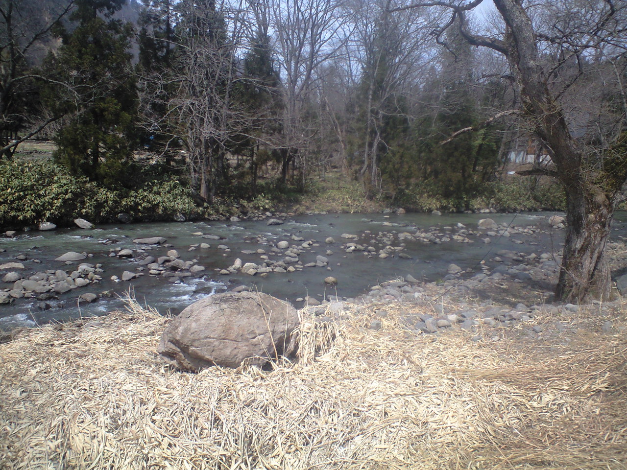 a0093677_21412486.jpg