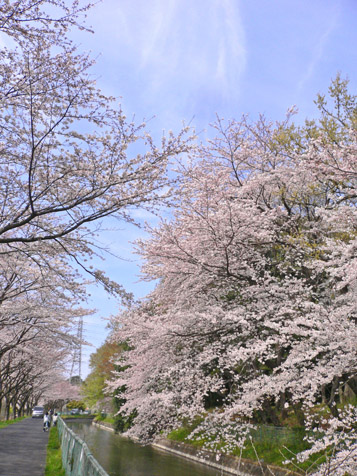 e0112077_1182682.jpg
