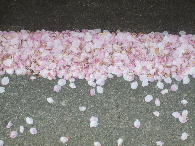 f0005081_20455885.jpg