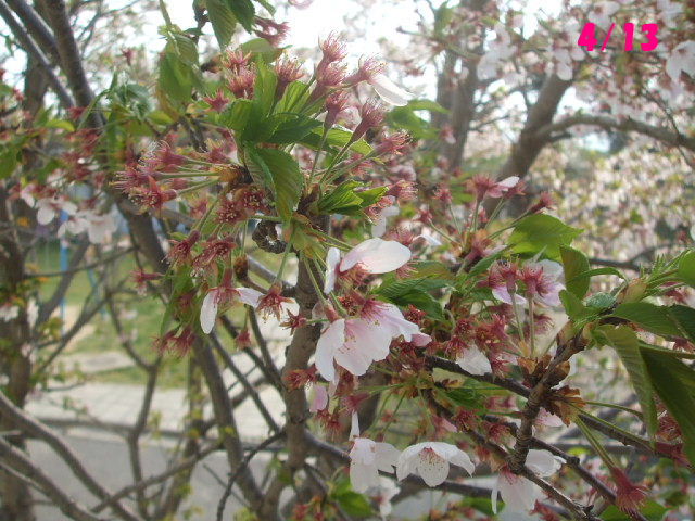 f0005081_22155964.jpg