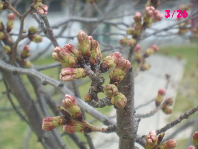 f0005081_22523961.jpg