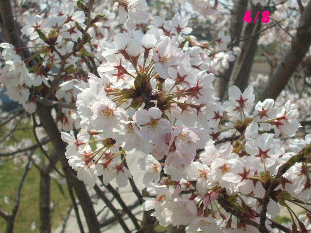 f0005081_23141260.jpg