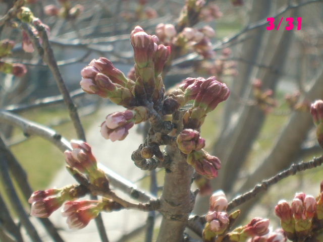 f0005081_2332843.jpg