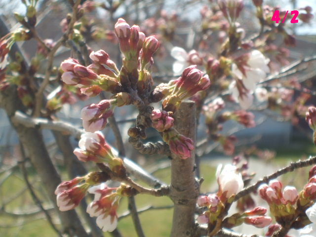 f0005081_2345396.jpg