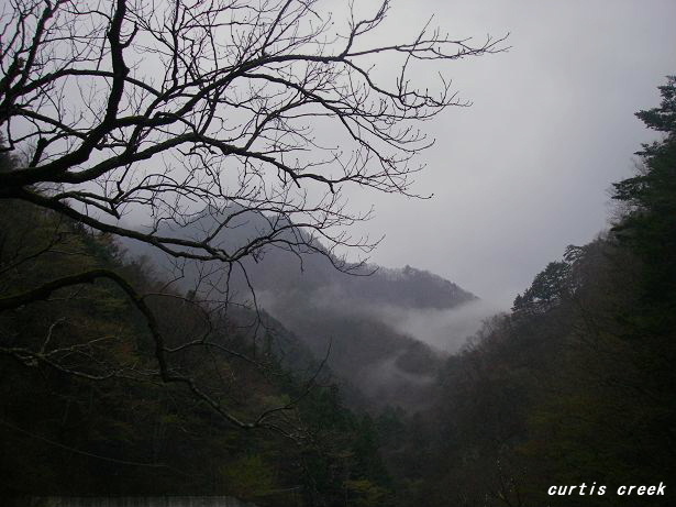 c0136486_2083789.jpg