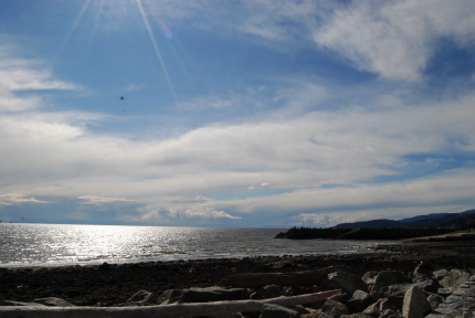 d0129786_15161130.jpg