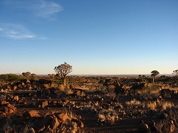 a0003089_22122034.jpg