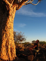 a0003089_22152074.jpg