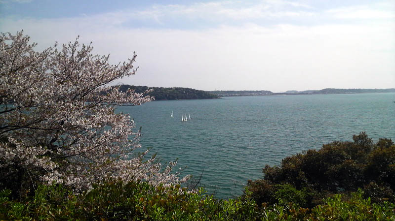 a0049090_20143512.jpg