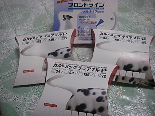 c0191390_2165098.jpg