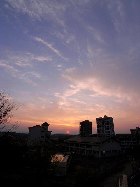 a0093592_23535652.jpg