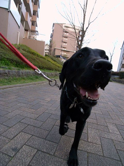 a0093592_2353615.jpg