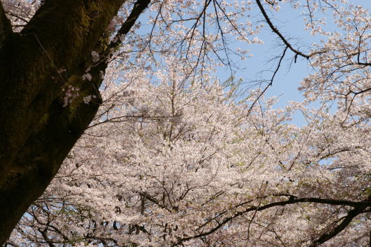 b0154393_12573193.jpg