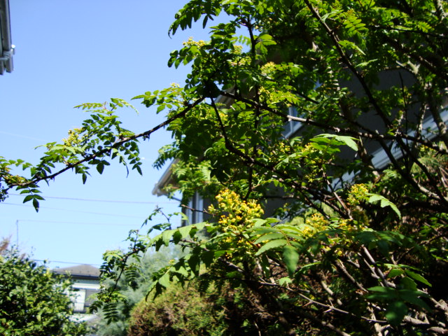 f0137694_111831.jpg