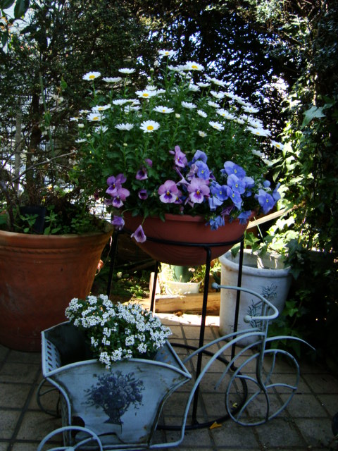 f0137694_1183821.jpg
