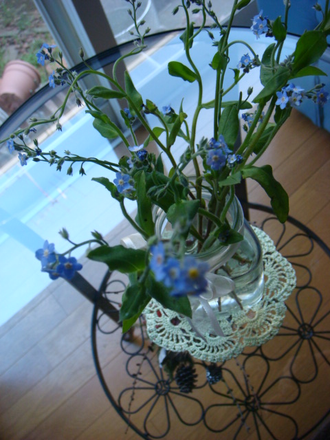 f0137694_143728.jpg